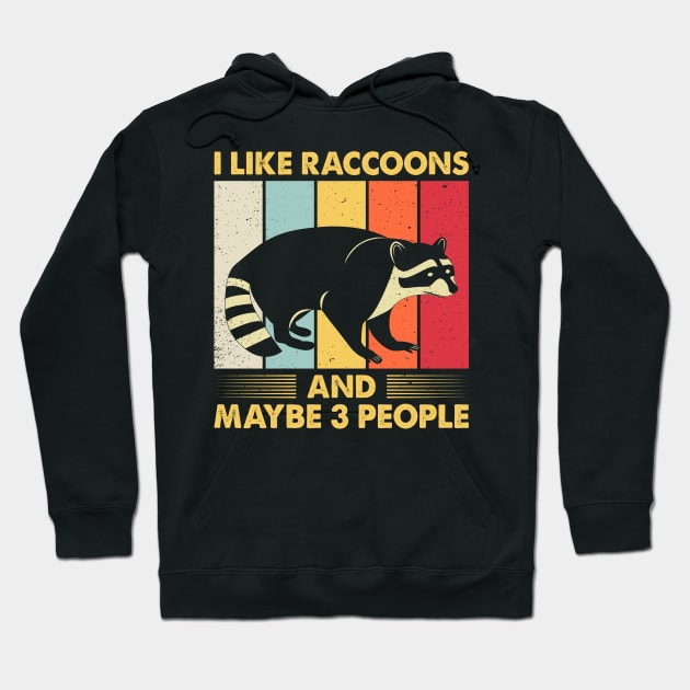 I Like Raccoon And Maybe 3 People Vintage Hoodie by AnnetteNortonDesign